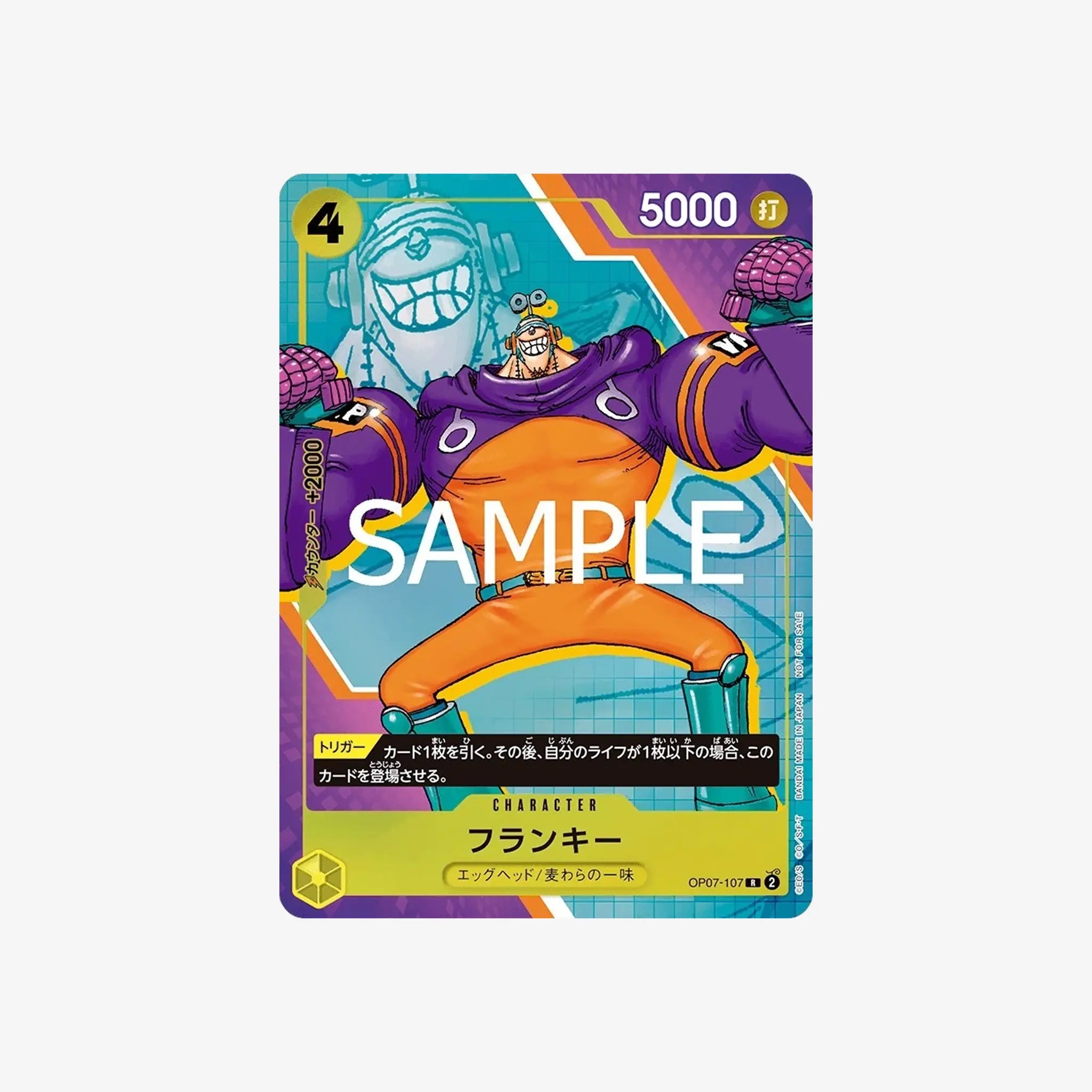 Guía Primer Aniversario | Promo Nami & Franky 🇯🇵